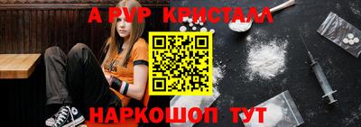 шишки Аргун