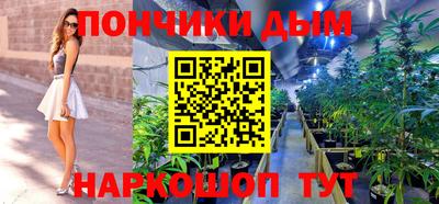 шишки Аргун
