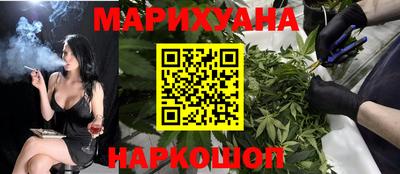 шишки Аргун