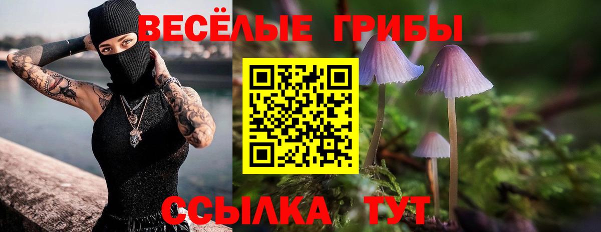 Анапа  Псилоцибиновые грибы мицелий  Галлюциногенные грибы Cubensis  Вход с VPN 